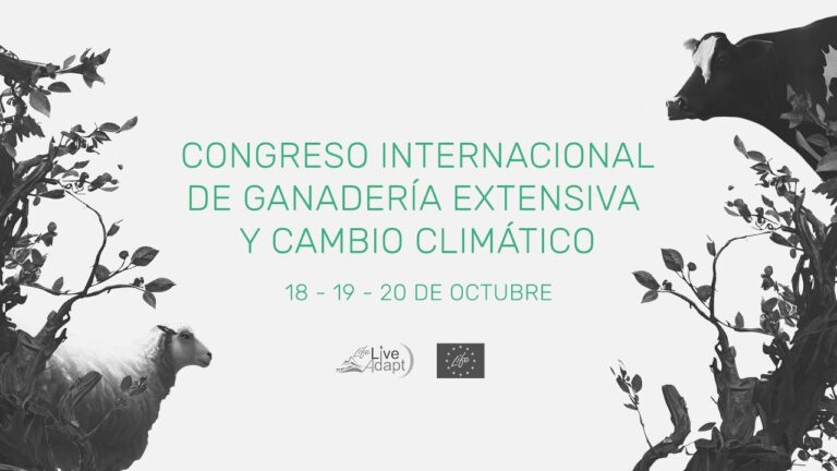Eventos al Aire Libre en Hernani: Una Guía Completa