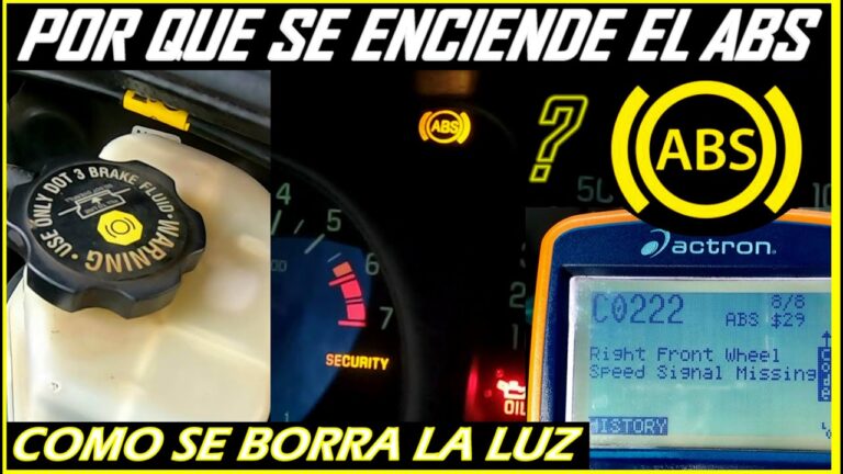Guía para Testigos de Accidentes en Lezo