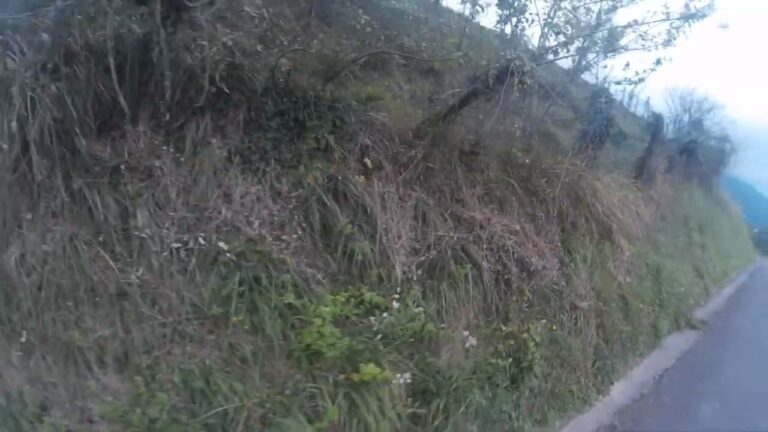 Actividades Imperdibles en Usurbil Durante el Otoño